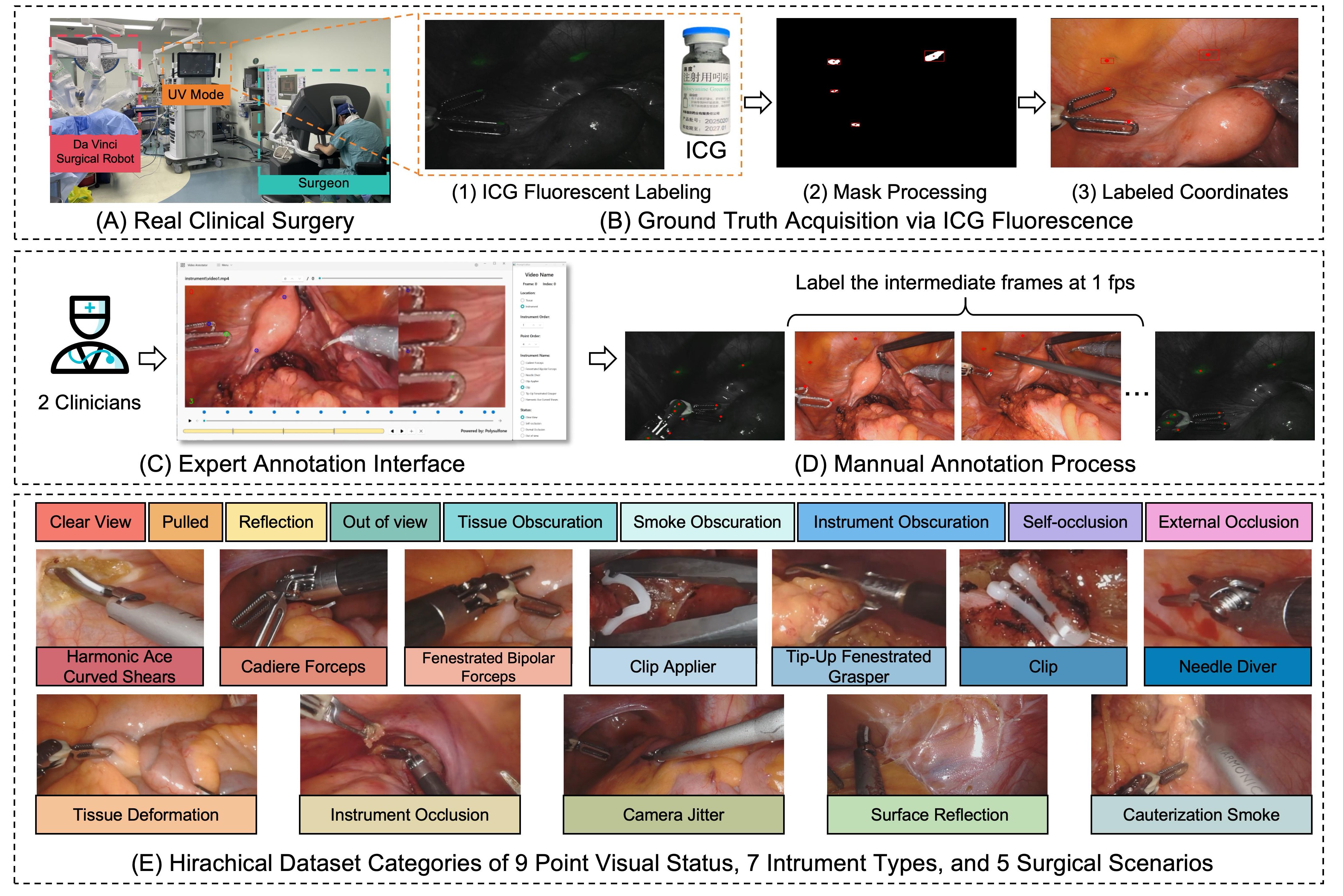 Dataset Visualization